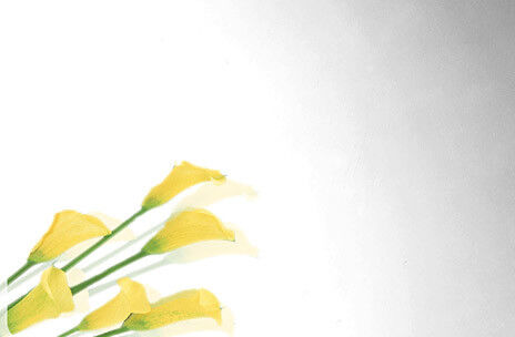 Купить Поверхность листа нержавеющей стали финиша Но.8 отполированная зеркалом супер яркая онлайн изготовление