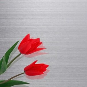 Купить Но.3/финиш ГЕКТОЛИТРА материал ранга главного листа нержавеющей стали Производство в сети